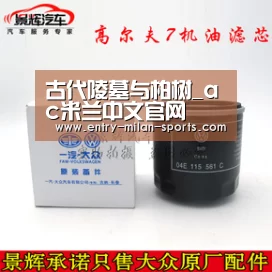 古代陵墓与柏树_ac米兰中文官网(图3)